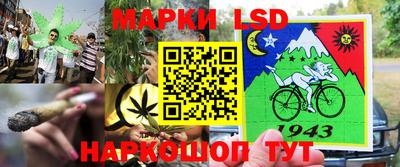 стафф Кулебаки