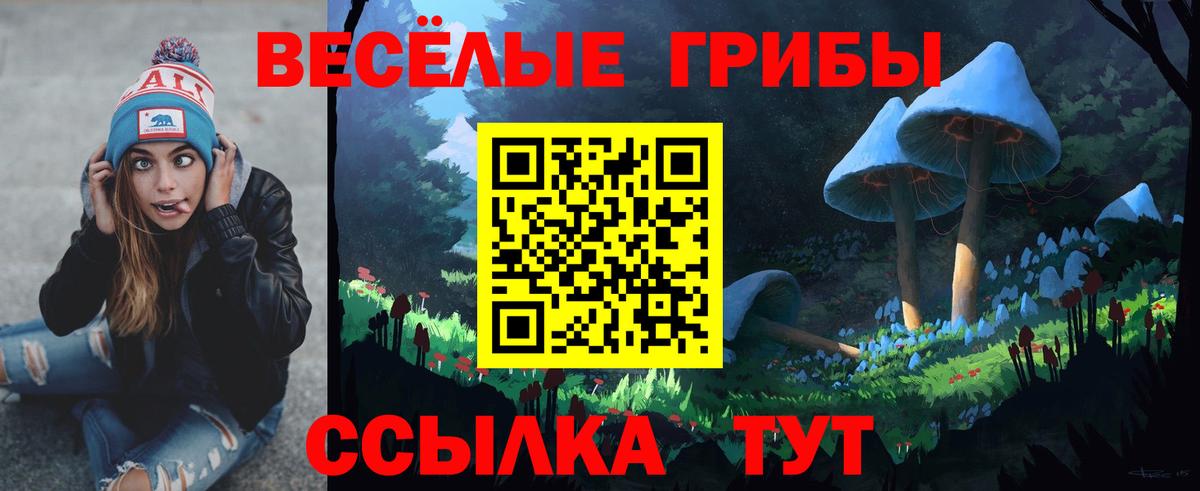 Псилоцибиновые грибы Cubensis Кизляр