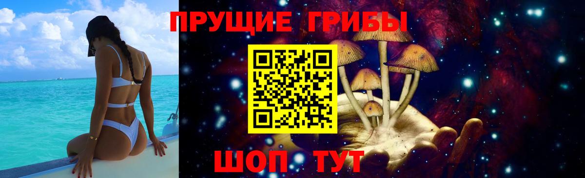 Кизляр  Галлюциногенные грибы ЛСД  Вход с VPN 